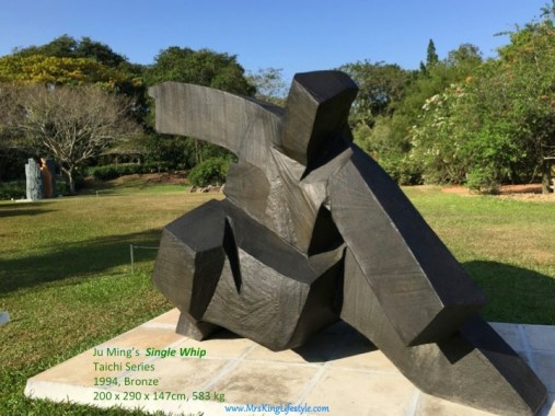 5 JuMing Taichi 1994_new
