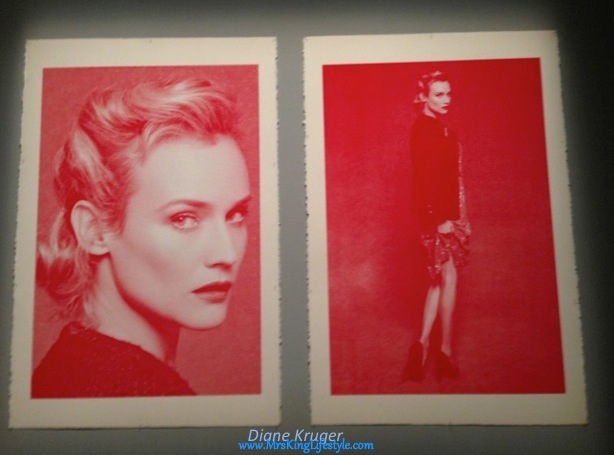 DianeKruger_new