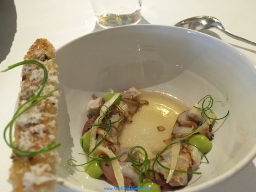 4-odette-octopus_new