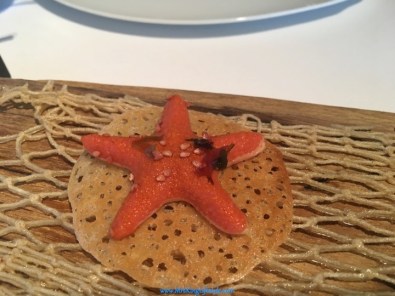 5-can-roca-starfish_new
