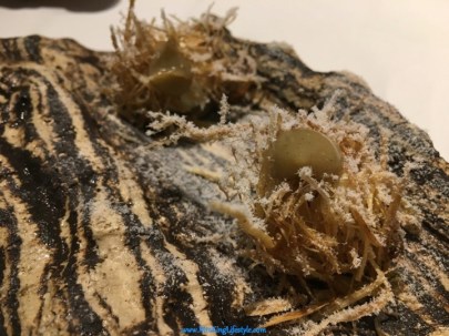 8 Gaggan Coriander Nest_new